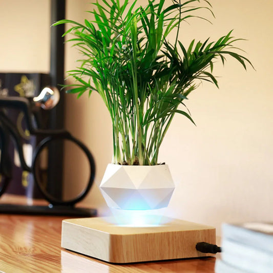 Floating Plant Pot